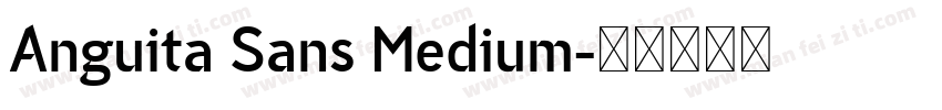 Anguita Sans Medium字体转换